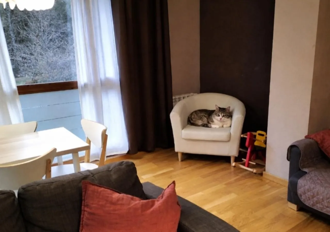 Sala gato-5731